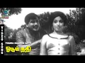 Download Lagu Thanga Salangai Katti Video Song | Odum Nadhi | Ravichandran | Saroja Devi | TMS | MSV | MusicStudio