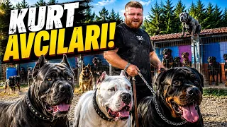 AVCI KÖPEKLERİ HAZIRLIYORUM! TYSONLAR ARASINDA GERİLİM ÇIKTI