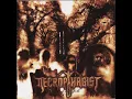 Stabwound - Necrophagist