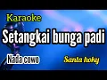 Lagu Karaoke SETANGKAI BUNGA PADI full lirik nada COWO
