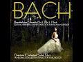 Overture (Orchestral Suite) No. 3 in D Major, BWV 1068: II. Air