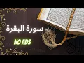 Download Lagu Surah Al-Baqarah FULL Without ADS by Abdur-Rahman as-Sudais | NO ADS | FAST RECITATION   سورة البقره