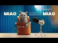Lagu BRI Mobile • BRIMO Mudah Serba Bisa Ver. 2 • TVC Edisi 2024 • Iklan Indonesia 30 sec