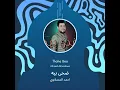 احمد المصلاوي ضحى بيه