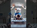 Download Lagu Kitten has a stomach full of spiders from drinking bubble tea #cutecat #kitten #cat