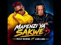 DULLY MAKIBA FT LAVA LAVA - MAPENZI YA SAKWE (Official video).