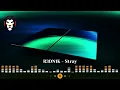 R3DN1K - Stray