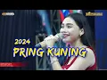 Download Lagu NEW 2024 PRING KUNING ( tia inova ) DESY PARASWATI - MANGGUNG ONLINE