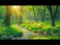 Download Lagu Zachte muziek, kalmeert het zenuwstelsel en behaagt de ziel - helende muziek voor het hart