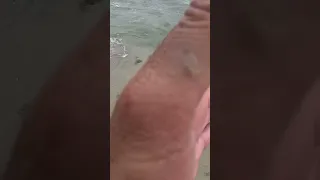 Unveiling the Unknown: #Explore #Travel