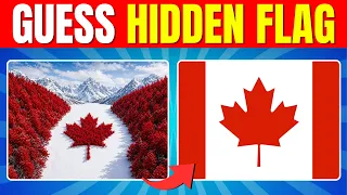 Guess the Hidden Flag by Illusion Flag Quiz Fun Kids Geography Challenge