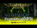 Download Lagu PAPATONG KONENG NAEK BUNGA DAHLIA//JAIPONG BADJIDORAN NAMIN GROUP