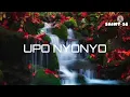 Phina-Upo Nyonyo (official lyric video)