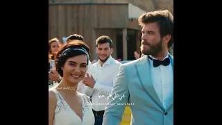 الليلة بيبدا المشوار 