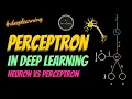 Perceptron Deep Learning Tutorial Neural Networks Neuron vs Perceptron At A Glance