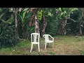BAD BUNNY ft. Dei V, Omar Courtz - VeLDÁ [Tyller Edition] | DeBÍ TiRAR MáS FOToS