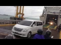 Download Lagu Merak di terjang Badai ,ngeri!
