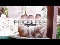 Download Lagu Monkey Spinning Monkey - Kevin Macleod | Priceless Rhythm