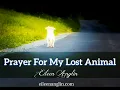 Prayer For A Lost Animal - Find A Lost Pet