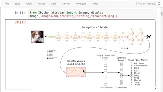 TensorFlow Tutorial Transfer Learning