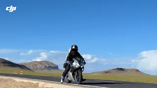                                            دندنها