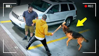 أنظر ما يفعله الكلاب من أجل البشر سمعت عن وفاء الكلاب مشهد لن تنساه أبد ا 