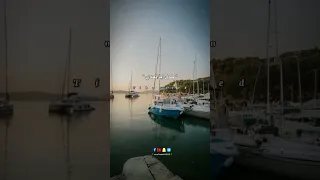 أنا قلبي وجعني يابا والشوق لوعني حالات واتس اغاني اكسبلور  أنا قلبي وجعني يابا والشوق لوعني حالات واتس اغاني اكسبلور