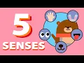 Five Senses! (Compilation) |  Wormhole English - Music for Kids