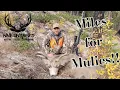 DIY Washington Mule Deer Hunt PUBLIC LAND GRIND Miles For Mulies