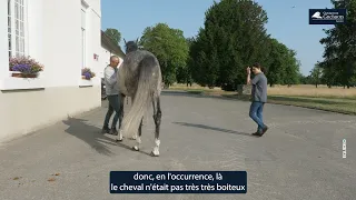 Grosbois suivi de tendinite Dr Heitzmann HD 16 9