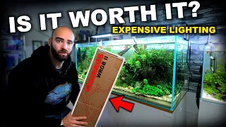 My MOST EXPENSIVE Aquarium Light Chihiros WRGB II Review