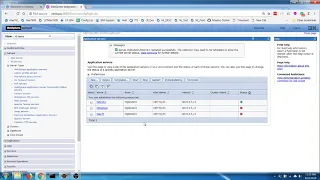 Maximo Java customization - 02