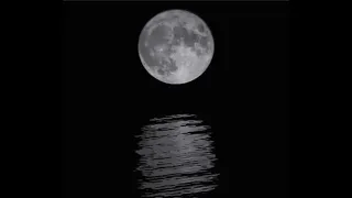 نشيد رحلت الى بحار العشق  حلمي دندنها