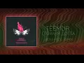TeeMur - Сгораем Дотла (Benji Prod Remix), 2019