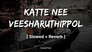 katte nee veesharuthippol k s chithra slowed hope