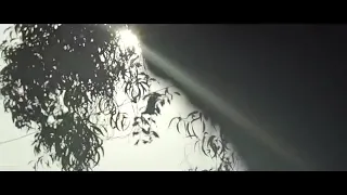 cinta utuh indra guntara