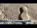 Groundbreaking held for Calcasieu Parish Forensic Center