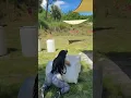 Shooting my shot