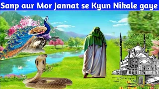 सांप और मोर को जन्नत से क्यू नीकाला गया | Sanp Aur More Ko Jannat Se Kyu Nikala Gaya.