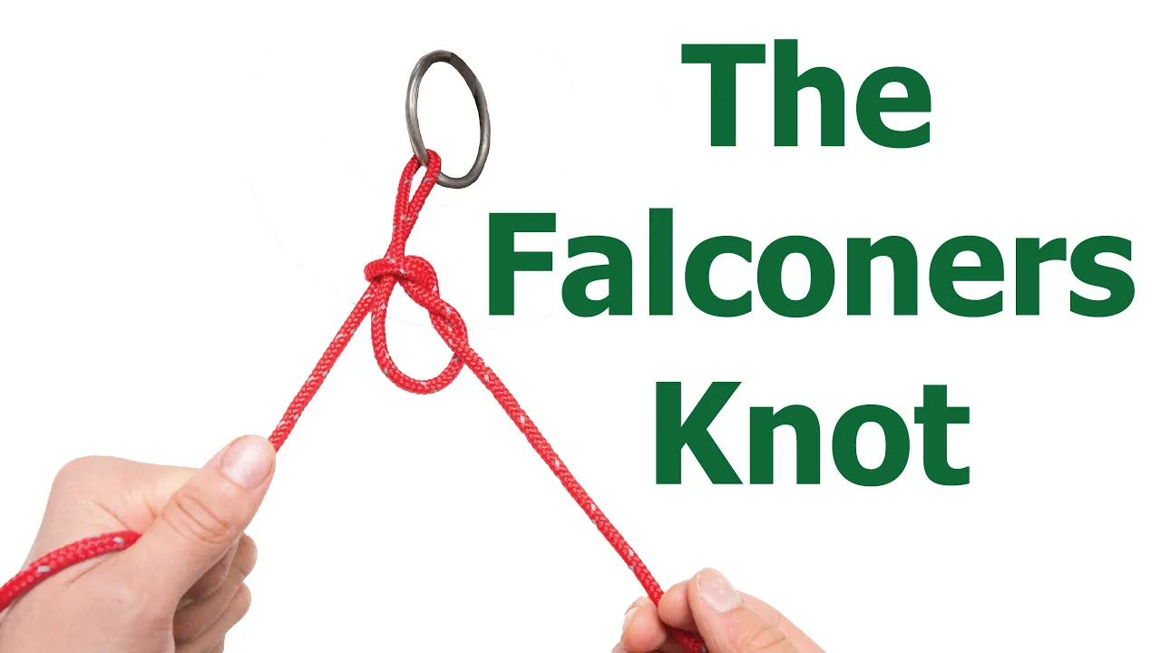 How to tie the Falconry Knot | Tie a knot with one hand | How to tether a hawk