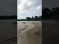 Scandy White shallow water run