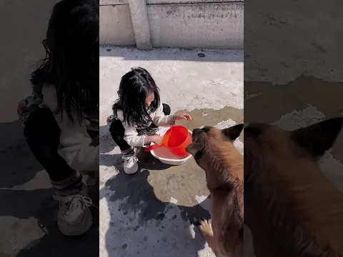 Smart dog saved girl❤️. #dog #smartdog #funny #pets #shorts
