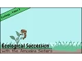 Ecological Succession Nature s Great Grit