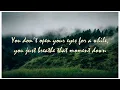 Manchester Orchestra - The Gold (Phoebe Bridgers Version) [Lyric Video]