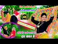 Download Lagu Nonstop  DJ Hemant Meena का तूफानी Remix | Satveer x Satto Gurjar ✅ Satveer Gurjar New Rasiya 2025