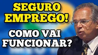 O QUE É SEGURO EMPREGO? COMO VAI FUNCIONAR.