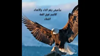   سأعيش رغم الداء والأعداء  كالنسر فوق القمة الشماء   دندنها