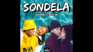 cassandra thee go getter u0026 nicky zee sondela visualizer 