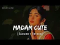 Download Lagu Madam Cute (Slowed + Reverb) | Uttar Kumar, Kavita Joshi | Haryanvi Songs | RN Lofi Alone