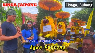 ayun puntang ii sisingaan jaipong tresnawangi group ii cisaga subang